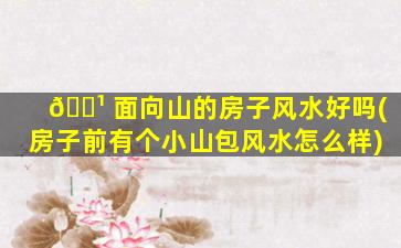 🌹 面向山的房子风水好吗(房子前有个小山包风水怎么样)